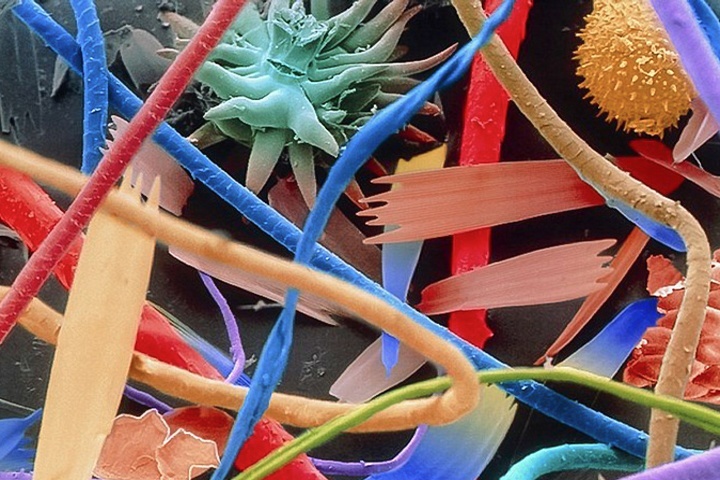 Домашняя пыль под микроскопом