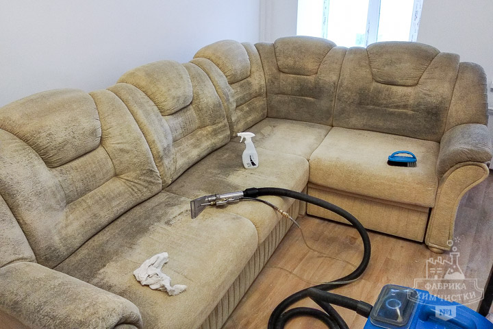 Процесс химчистки дивана из флока
